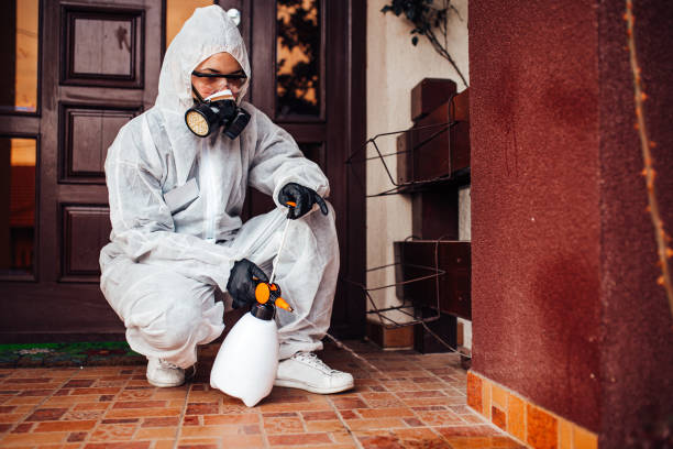 Reliable Wasp Removal contractor in Washington Heights, NY by Show Me Pest Control